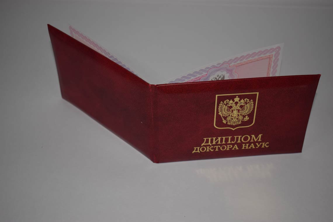 Диплом Доктора Наук 2013-2025 в Северодвинске корка