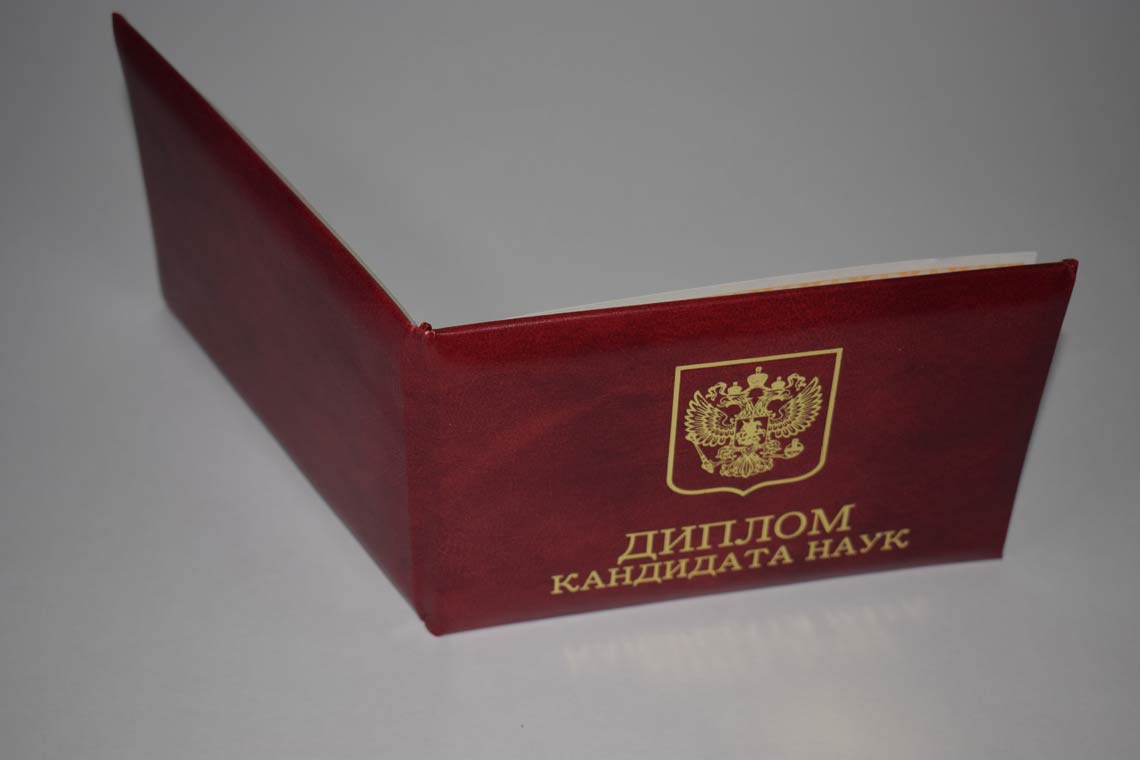 Диплом Кандидата Наук 2017-2025 в Северодвинске корка