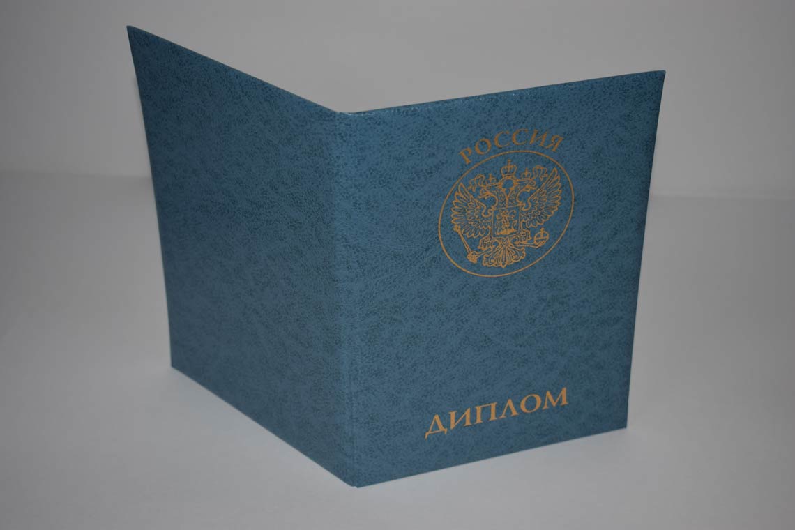 Диплом MBA 2011-2025 в Северодвинске корка